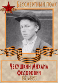 Чекушкин Михаил Федорович