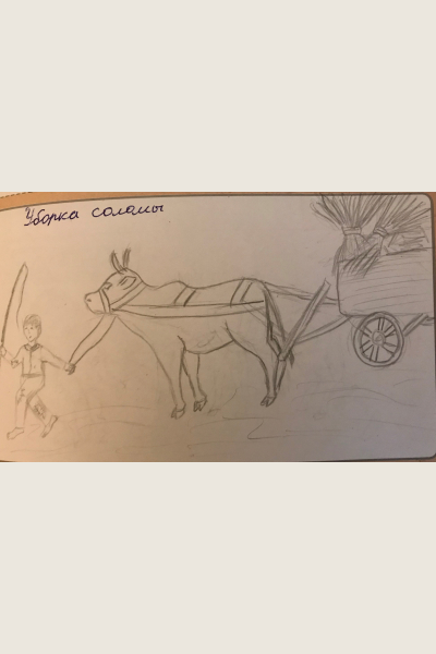 Уборка соломы