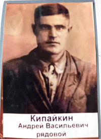 Кипайкин Андрей Васильевич