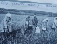 Абрашев Георгий Михайлович
